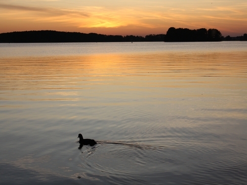 Fotos aus Mecklenburg-Vorpommern - vielleicht als Anregung für den nächsten Urlaub?