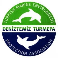 Turmepa2's profile picture. 