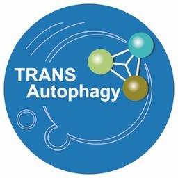 TRANSAUTOPHAGY (COST Action CA15138) is a European Network for Multidisciplinary Research on Autophagy with emphasis on Translation of knowledge to applications