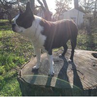 Richard Marrese (@trialbyphysics) 's Twitter Profile