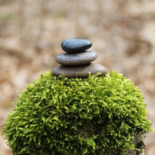 “Peace is a natural effect of trade.” –Charles de Montesquieu