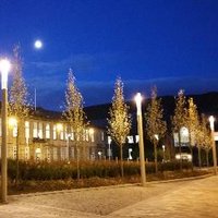 MSc Education (@msced_mhses) 's Twitter Profile