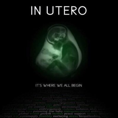 In Utero is een indrukwekkende documentaire over de invloeden van het leven binnen de baarmoeder op jouw verdere leven na de geboorte.