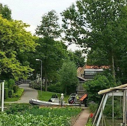 tomj478's profile picture. 