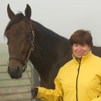 Linda Toscano (@lindattoscano) 's Twitter Profile