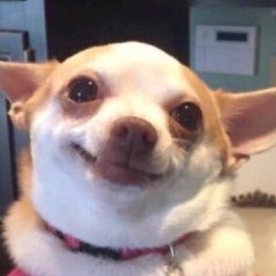 Hey guys follow @tylerrpictures they gave you this free follow