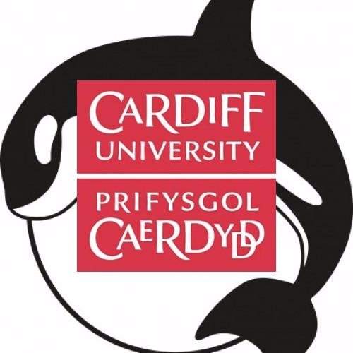 We are part of Cardiff Uni library service, incorporating the institutional repository ORCA, Open Access support, RDM, metrics and Cardiff University Press.