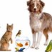 Kandi (@kandipetsitter) Twitter profile photo Kandi (@kandipetsitter) Twitter profile photo