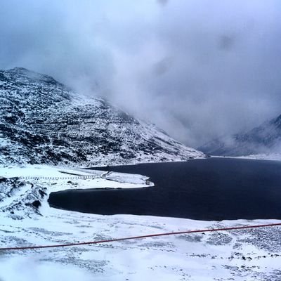 TendiMallu's profile picture. I dance like Vincent Vega