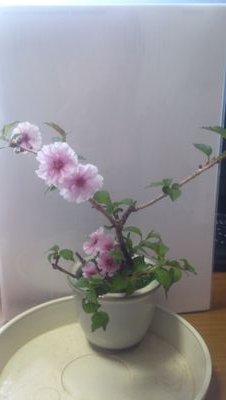 TRPG_nerot's profile picture. 最近は、Skyrim と言うＰＣゲームにはまっています。
ＭＯＤ導入して、動画を作成し始めています
steam 323061984