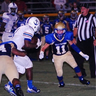 StoneSpivey's profile picture. Lake View Wild Gator. C/O 2017.