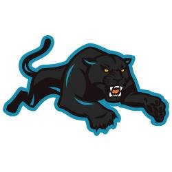 ThePanthersWire Profile Picture