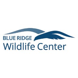 Blue Ridge Wildlife Center