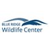 Blue Ridge Wildlife Center (@BRWildlifeCtr) Twitter profile photo