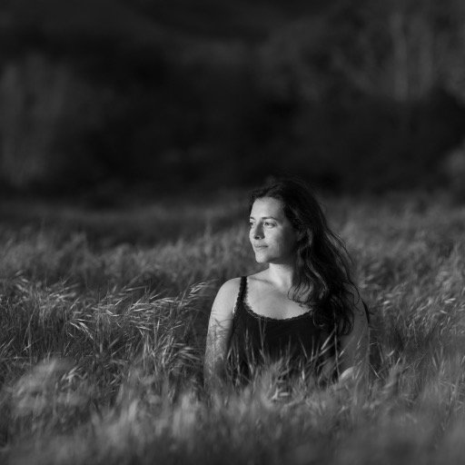 Inside scoop on the life of a wedding and nature photog!
