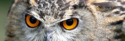 anmadre's profile picture. Canadian,  fiscal conservative, skeptic, emotionally aware, stupidly stubborn and black sheep superstar. The above image is the farm house I grew up in.