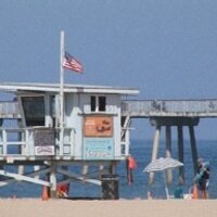 Peter Heysteeg (@pheys) 's Twitter Profile