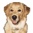 SinaSina_heute's profile image