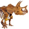 DinosaurSciNews's profile picture. Geoscience Professor. Science Writer. Fascinated with dinosaurs and Earth's evolution through time. https://t.co/Dj2dBGYMp9
  No DMs please.