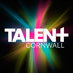 Talent Cornwall offers a new way for proven business managers or specialists to showcase their talents. See http://t.co/I0U8EbXoGg