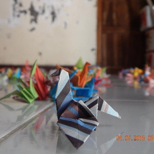 emiliaasnia's profile picture. 