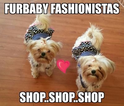 Affordable,Cute, Fashionable Furbaby Clothes. Sizes available from Xxs-Xl. 
$4 S&H anywhere in US via Paypal or M.O
Shipping is quick, and prices can't be beat!