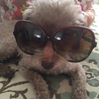 theosbeer's profile picture. No success without effort or error