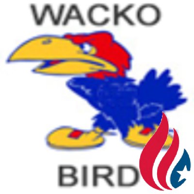 OTR for over 30 years w/3 million miles. Reagan conservative.. #ChooseCruz #CruzCrew  #NRA Life member... Huge fan of better #tequila... #RCJH #FairTax #GunVote