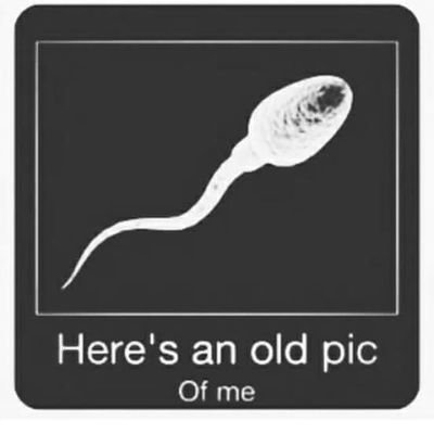 rude_kelvin's profile picture. 