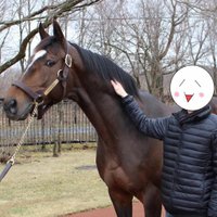 2178❣️ 瑪瑙　馬　唐馬　戦闘馬 WM9juiPI_200x200.jpg