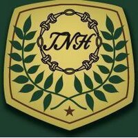 The Natural Horse (@cnhorse) 's Twitter Profile