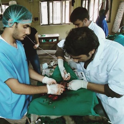 DrRajendraVet's profile picture. #Veterinarian #Researcher #Sketch Artist, #For animal lovers, Rather dan buyin ur furry pet frnds, Plz consider adopting from your local animal shelter