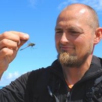 Kent Olsen (@kentolsen_nhma) 's Twitter Profile