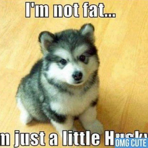 Zee_baby16's profile picture. I love the shows Supernatural @cw_spn, @TheRealDaytime, @YouTube. Aspiring full-figured model, radio host an photographer. #LGBTQ+