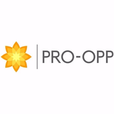 Pro-opp Providing leading Payment Processing Services globally.For Safe and secure services tweet@pro_opp