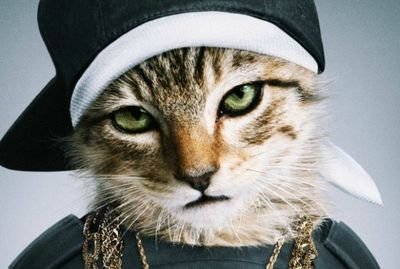 mpayrez's profile picture. 