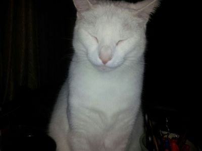 mel_meys's profile picture. Music is my Sanctuary. . Leto is my Sunshine after the Rain ♡