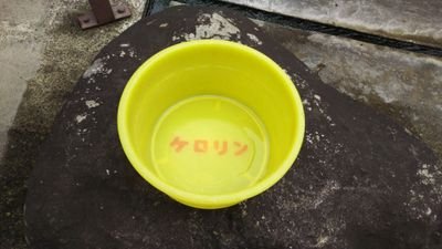 f1_812's profile picture. 温泉好き、麺好き、酒好き、写真好き、鉄道好き。