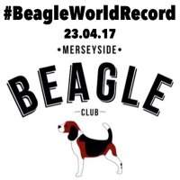 Merseyside Beagles (@mbc_beagleclub) 's Twitter Profile