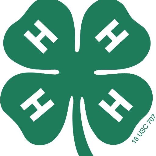 4-H STEM addresses our nation's critical challenge to improve science literacy and to increase the number of youth pursuing STEM careers.