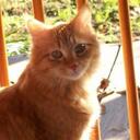 Carol Smith - @Carol_Slaughter - Twitter