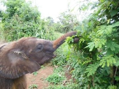 Wildlife conservation education centre, housing over 250 wild animals for conservation education and as an alternative home.