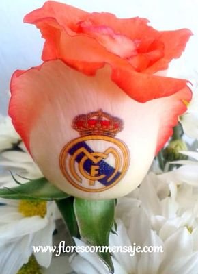 Miguelkings06's profile picture. soy soltero y me gusta trabajar soy fanatico al real madrid y los cremas y me gusta compartir mi amistad a todos mis amigos