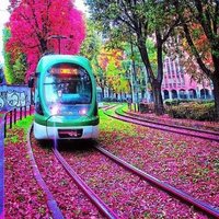 Corredor Verde Cali (@corredorverdeca) 's Twitter Profile