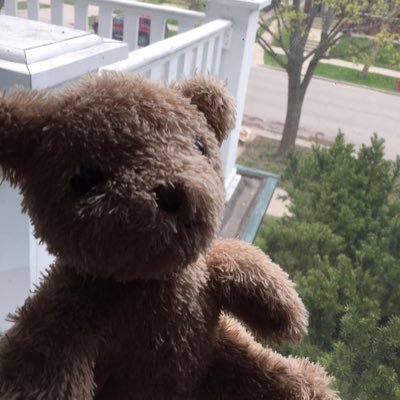 Frank_The__Bear's profile picture.