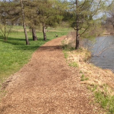 justsnap2's profile picture. Right now I am working as a SAP trainer and consulting as project management/business analyst