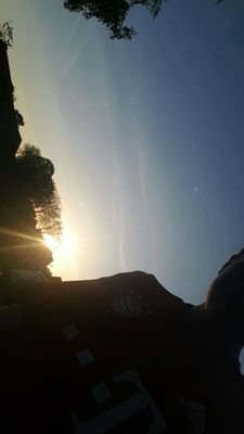 Jannik2204's profile picture. 