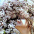 Vic_lavida's profile image
