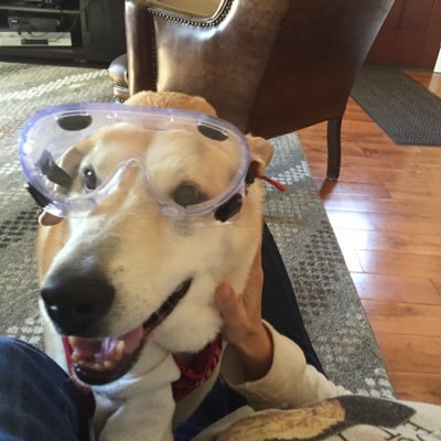 LyonsLuke's profile picture. 