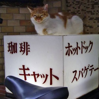 しょうもない事をたまに呟く、やらかす生き物。フェスになると現れます。お茶と可愛いを愛するネットコミュ障。無言フォロー御容赦m(__)m